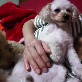 超➰❤甘えん坊の画像