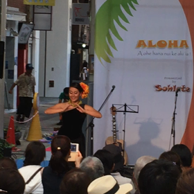 アロハ〜の画像