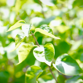 事務所のInstagramの画像