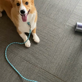 掃除機は敵の画像