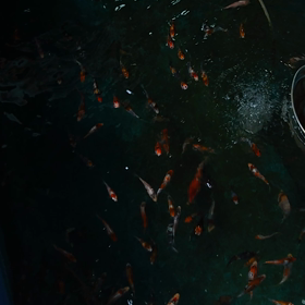 予報通りの画像