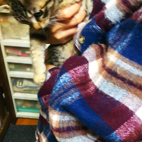 斎ちゃん抱かれる…の巻の画像