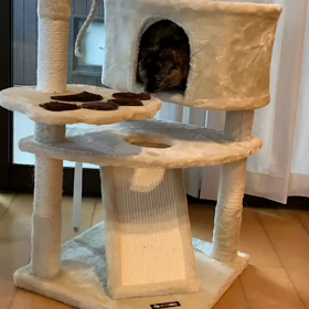 キャットタワーの画像