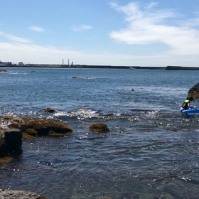 今年最後の海泳ぎ @神奈川の画像