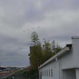 アパッチ❕　の画像