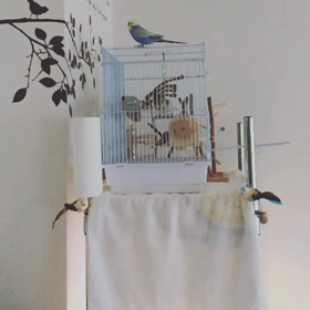 ロクたん動画。の画像