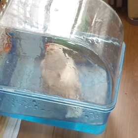 気持ちのよい気候の画像