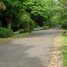 クラブ交流 選考会(橋本彩花さんの快走)の画像