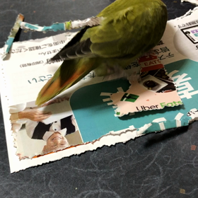 宇宙のファンタジーの画像