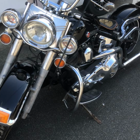 新しいお友達❣️の画像