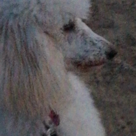 成長しましたねーの画像