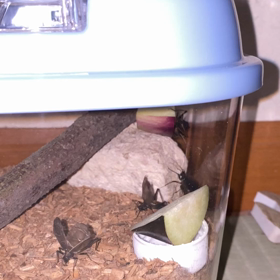 もうすぐ１ヶ月♬の画像