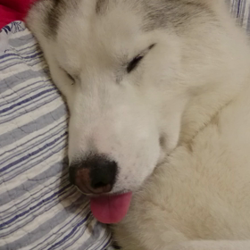 平和な夜の画像