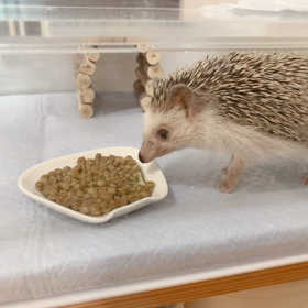 病院での診察の画像