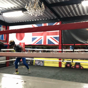 連日、特に書くこと無く！！の画像