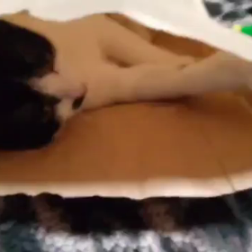 ジャンプすごいらしいから動画のこしておこの画像