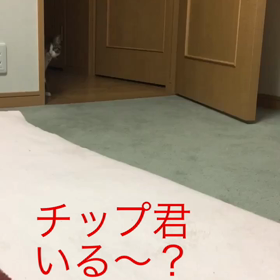 チップとデール、メルカリ大変、人の暖かさに触れての画像