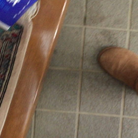 5日ぶりの再会の画像