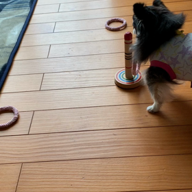 べる宿題の画像