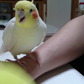 北海道から応援しています(*^^*)の画像