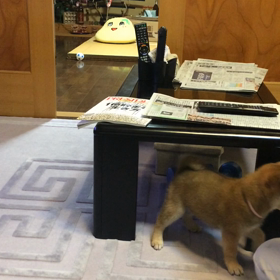 昔のネタで失礼します。動画続編。の画像