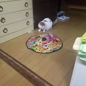 まもる君の画像