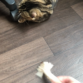 投薬　56日目の画像