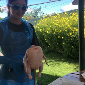 私の仕事in Australiaの画像