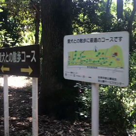 ♪お散歩動画♪砧公園♪の画像