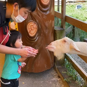 三女家の牧場でのえさやりの画像