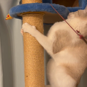 危険なタワーの画像