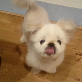 わすれちゃったね？の画像