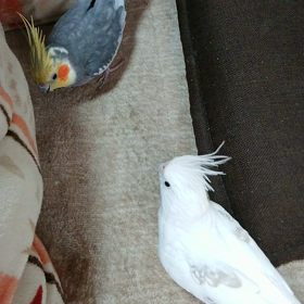 今朝のみなさんの画像