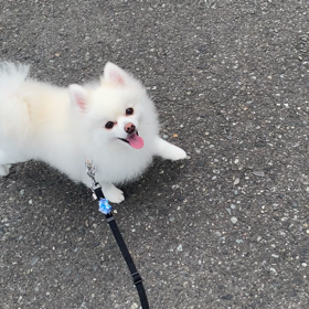 もう夏…汗の画像