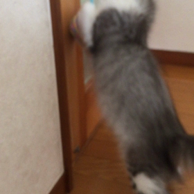 お気に入りの画像