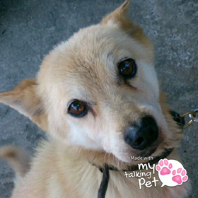 ちょっと遊んでみましたの画像