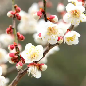 お友達から送信…。の画像