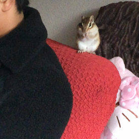 振り 返れば君が（笑）の画像