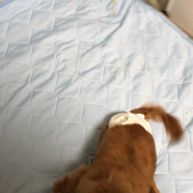 見てみて！！の画像