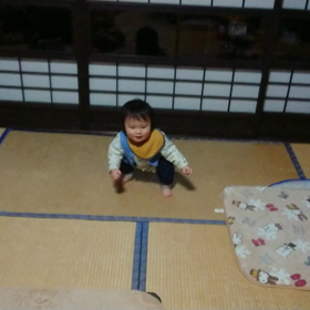 歩けるようになったね♪ヽ(´▽｀)/の画像