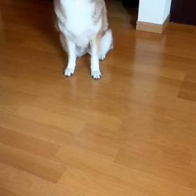 できるんだよ(*´∀｀)の画像