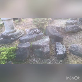 風を感じての画像