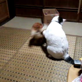 つゆVSリリーの画像