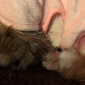 風邪ひき三連休(๑˃̵ᴗ˂̵)の画像