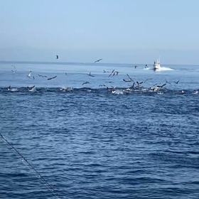 今日も激アツ‼️の画像