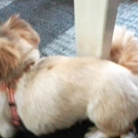 *痒いの〜の画像