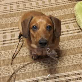 ライムくんの画像