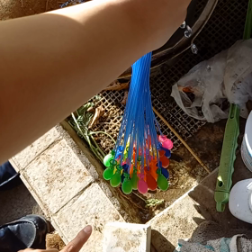 5月になりました～の画像