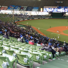 ライナちゃんの画像