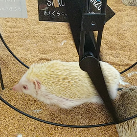 動画❣️の画像